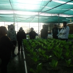 KES_COLLEGE_AGRO_INDUSTRY