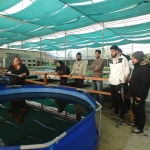 KES_COLLEGE_AGRO_INDUSTRY